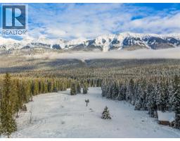 4227-4233 Beaverfoot Forest Service Road, Golden, BC V0A1H0 Photo 29