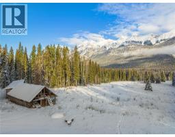 4227-4233 Beaverfoot Forest Service Road, Golden, BC V0A1H0 Photo 30