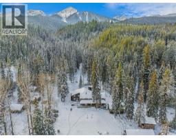 4227-4233 Beaverfoot Forest Service Road, Golden, BC V0A1H0 Photo 34