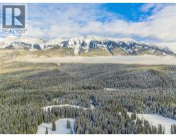 4227-4233 Beaverfoot Forest Service Road, Golden, BC V0A1H0 Photo 35