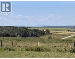 4142 Township Road 290, Rural Mountain View County, AB T0M1L0 Photo 10