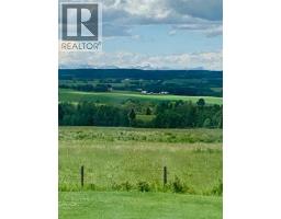 4142 Township Road 290, Rural Mountain View County, AB T0M1L0 Photo 49