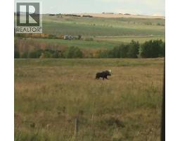 4142 Township Road 290, Rural Mountain View County, AB T0M1L0 Photo 47