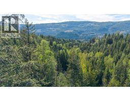 43 Sigalet Road, Lumby, BC V0E2G6 Photo 69