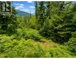 87 Dolly Varden Road, Enderby, BC V0E1V1 Photo 16