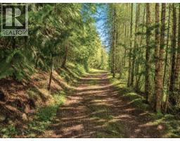 87 Dolly Varden Road, Enderby, BC V0E1V1 Photo 57