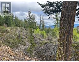 650 Bluenose Road, Vernon, BC V1B3E7 Photo 79