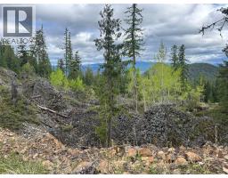 650 Bluenose Road, Vernon, BC V1B3E7 Photo 74