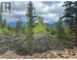 650 Bluenose Road, Vernon, BC V1B3E7 Photo 80