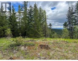 650 Bluenose Road, Vernon, BC V1B3E7 Photo 83