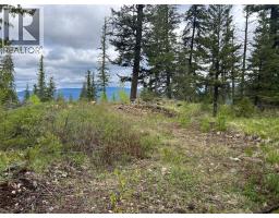 650 Bluenose Road, Vernon, BC V1B3E7 Photo 75
