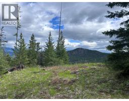650 Bluenose Road, Vernon, BC V1B3E7 Photo 85