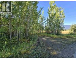 3497 Jeck Road, Mcbride, BC V0J2E0 Photo 6