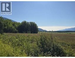3497 Jeck Road, Mcbride, BC V0J2E0 Photo 9