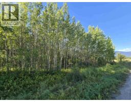 3497 Jeck Road, Mcbride, BC V0J2E0 Photo 7