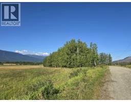 3497 Jeck Road, Mcbride, BC V0J2E0 Photo 10