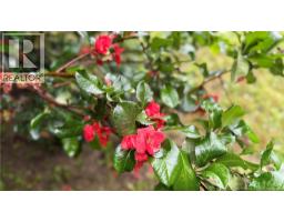 4 Des Erables, Clair, NB E7A2B5 Photo 31