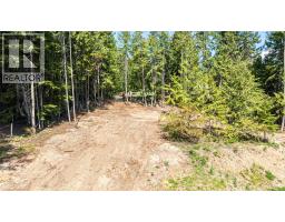 2655 Cowan Road, Sicamous, BC V0E2V0 Photo 19