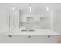 18831 29 Av Nw, Edmonton, AB T5Y4G2 Photo 10