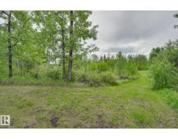 #100 22549 Twp Rd 510, Rural Leduc County, AB T0B3M1 Photo 59