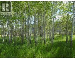 5569 Kamloops-vernon Highway, Westwold, BC V0E3B1 Photo 28