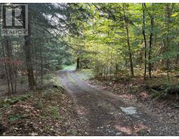 0 Old Government Road, Lanark Highlands, ON K0G1K0 Photo 7