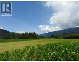 7160 97-a Highway, Grindrod, BC V0E2K0 Photo 8