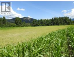 7160 97-a Highway, Grindrod, BC V0E2K0 Photo 12
