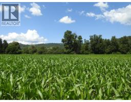 7160 97-a Highway, Grindrod, BC V0E2K0 Photo 11
