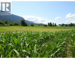 7160 97-a Highway, Grindrod, BC V0E2K0 Photo 16