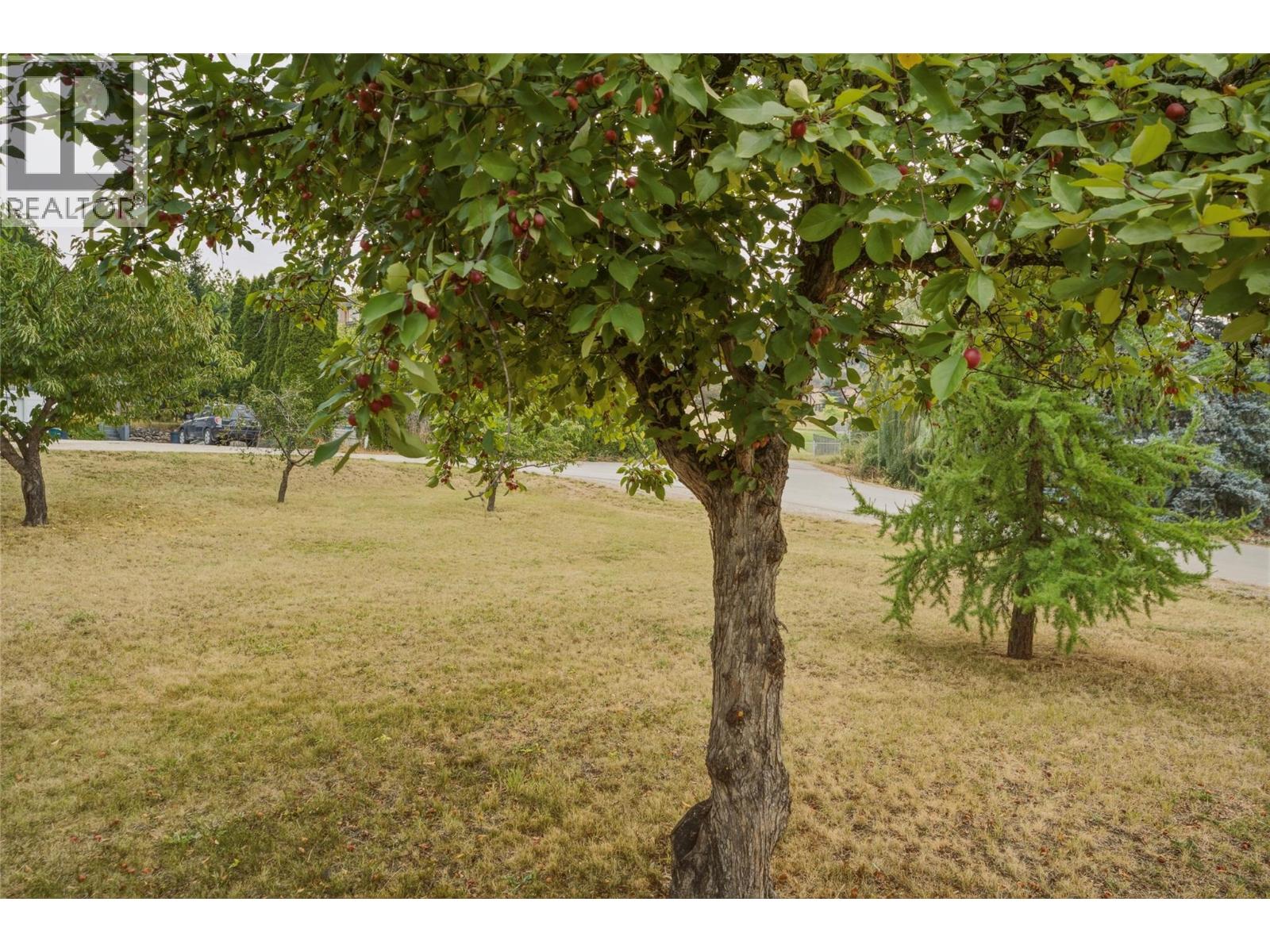 1201 8 Avenue NE - 29