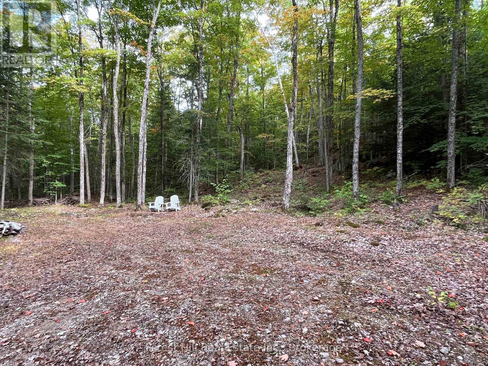 4488 KAWAGAMA LAKE ROAD, Algonquin Highlands (Sherborne) — photo 2