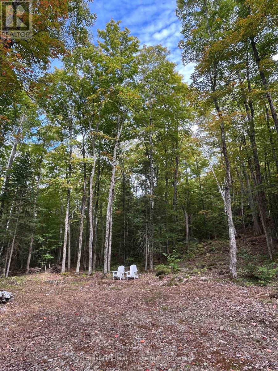 4488 KAWAGAMA LAKE ROAD, Algonquin Highlands (Sherborne) — photo 3