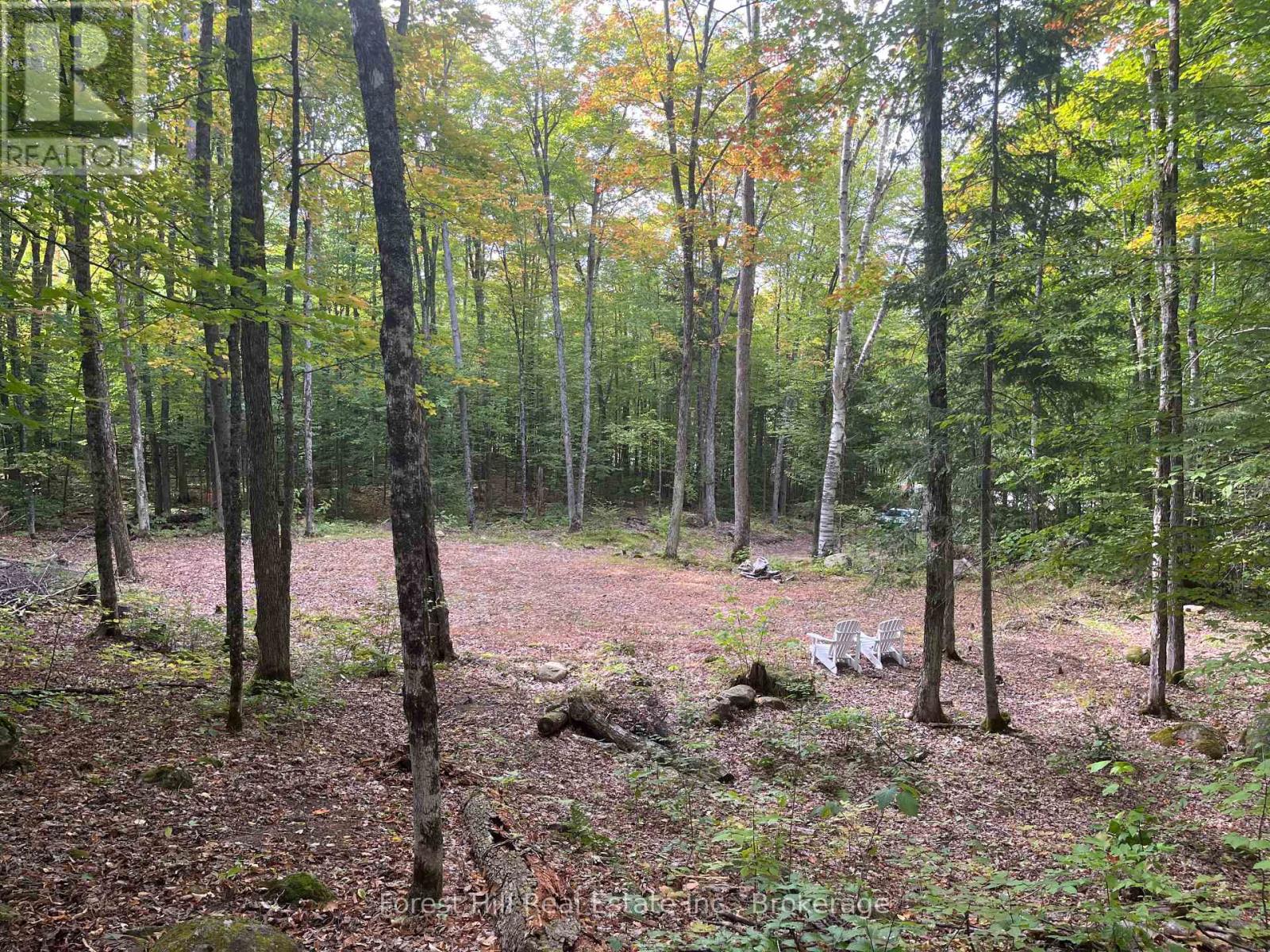 4488 KAWAGAMA LAKE ROAD, Algonquin Highlands (Sherborne) — photo 4