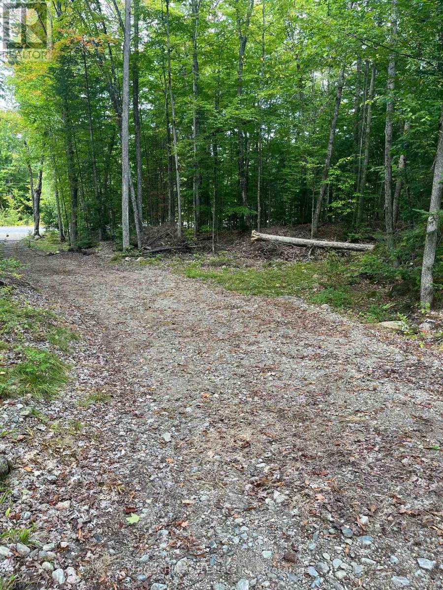 4488 KAWAGAMA LAKE ROAD, Algonquin Highlands (Sherborne) — photo 9