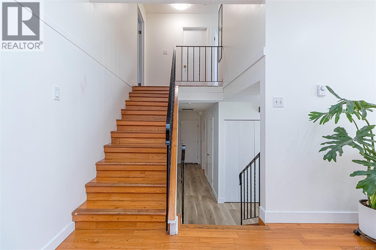 484 Goldstream Ave - 28