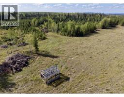 2935 Miles Creek Forest Service Road, Likely, BC V0L1G0 Photo 7