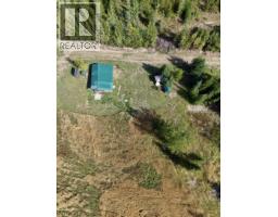 2935 Miles Creek Forest Service Road, Likely, BC V0L1G0 Photo 10