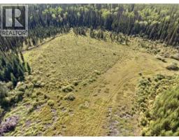 2935 Miles Creek Forest Service Road, Likely, BC V0L1G0 Photo 6