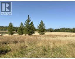 2935 Miles Creek Forest Service Road, Likely, BC V0L1G0 Photo 21