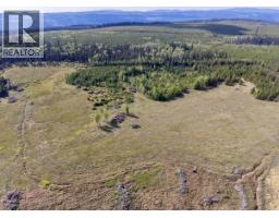 2935 Miles Creek Forest Service Road, Likely, BC V0L1G0 Photo 8