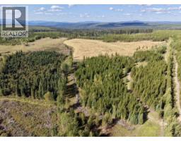 2935 Miles Creek Forest Service Road, Likely, BC V0L1G0 Photo 9