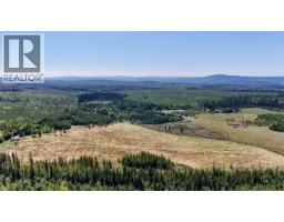 2935 Miles Creek Forest Service Road, Likely, BC V0L1G0 Photo 25