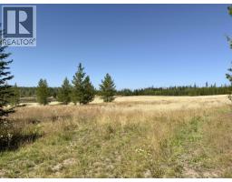 2935 Miles Creek Forest Service Road, Likely, BC V0L1G0 Photo 23