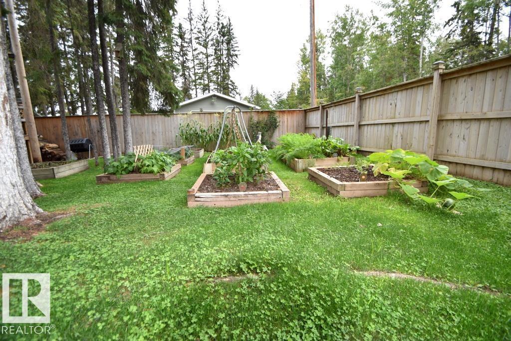 1341 Old Timer's Dr (Bondiss) - 29
