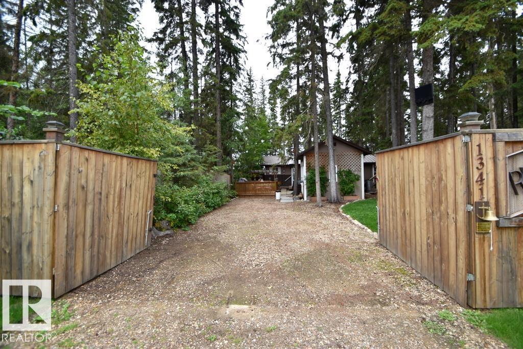 1341 Old Timer's Dr (Bondiss) - 32