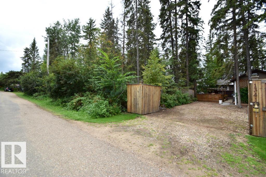 1341 Old Timer's Dr (Bondiss) - 33