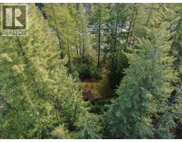 Balfour Avenue Lot# Lot 8, Kaslo, BC V0G1M0 Photo 15