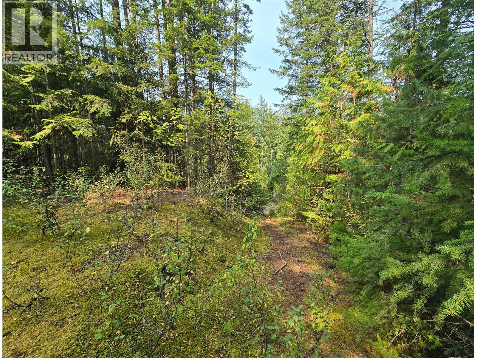 BALFOUR Avenue Lot# LOT 8, Kaslo