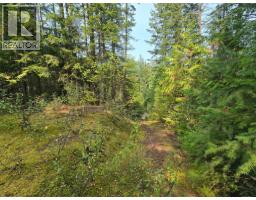 Balfour Avenue Lot# Lot 8, Kaslo, BC V0G1M0 Photo 8